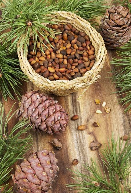 Pine nuts, a specialty product of House of Pine