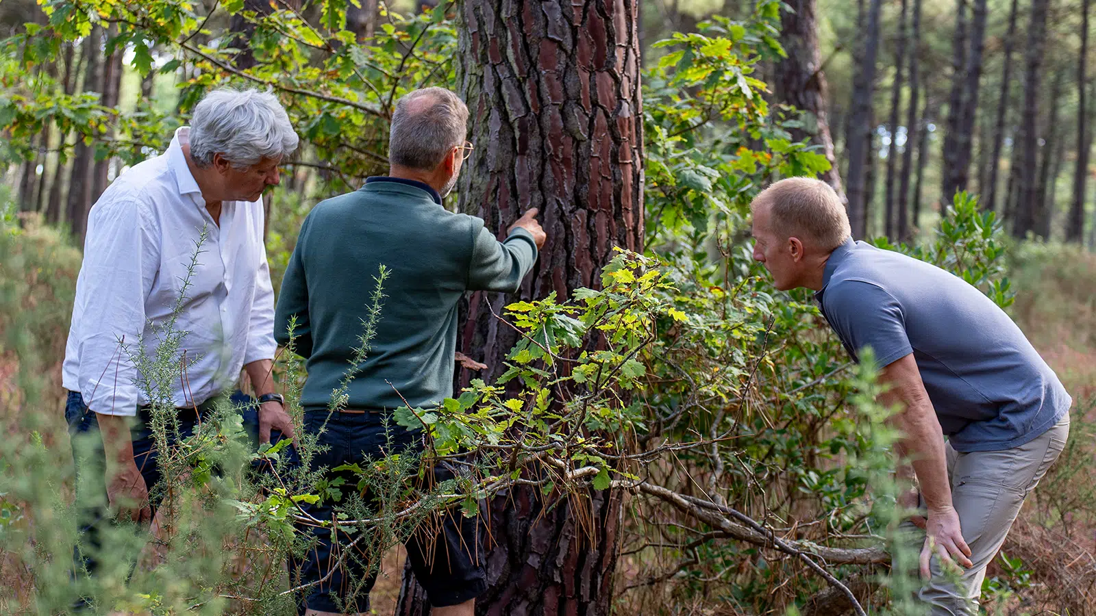 Natural ingredients selected for sourcing